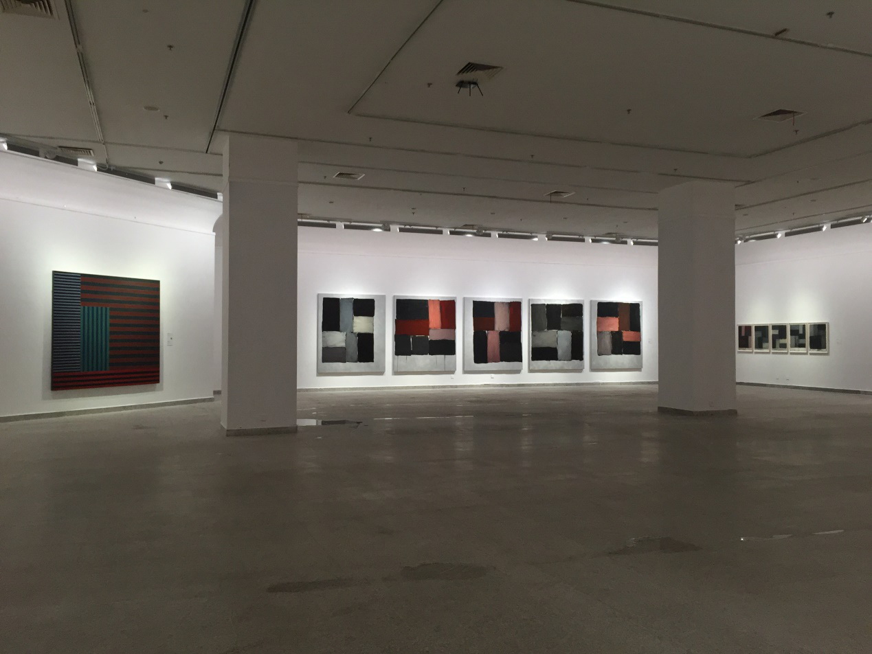 湖北美术馆照明_肖恩·斯库利抽象画巡展