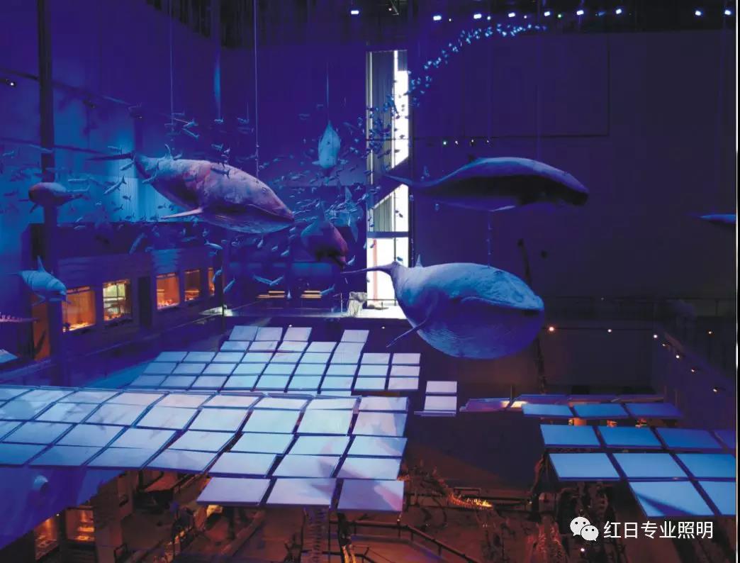 廣東省博物館(新館)