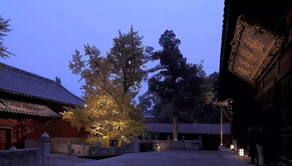 西山大覺寺照明設計案例中辰作品欣賞
